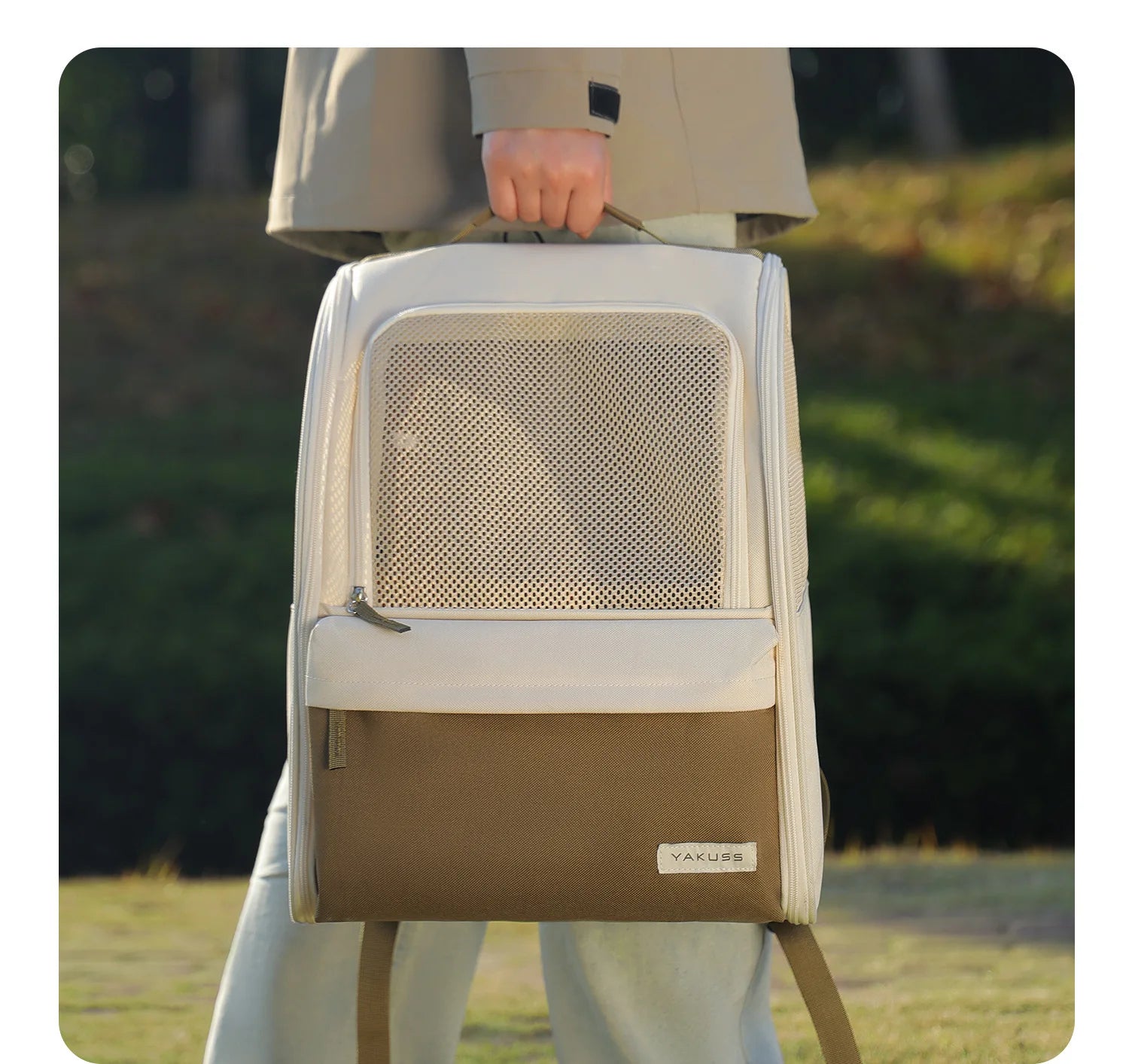Large Carrier Backpack for Cats and Dogs