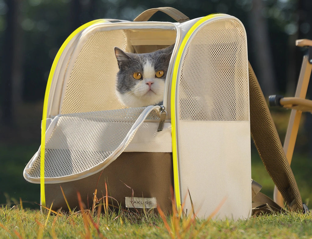 Large Carrier Backpack for Cats and Dogs