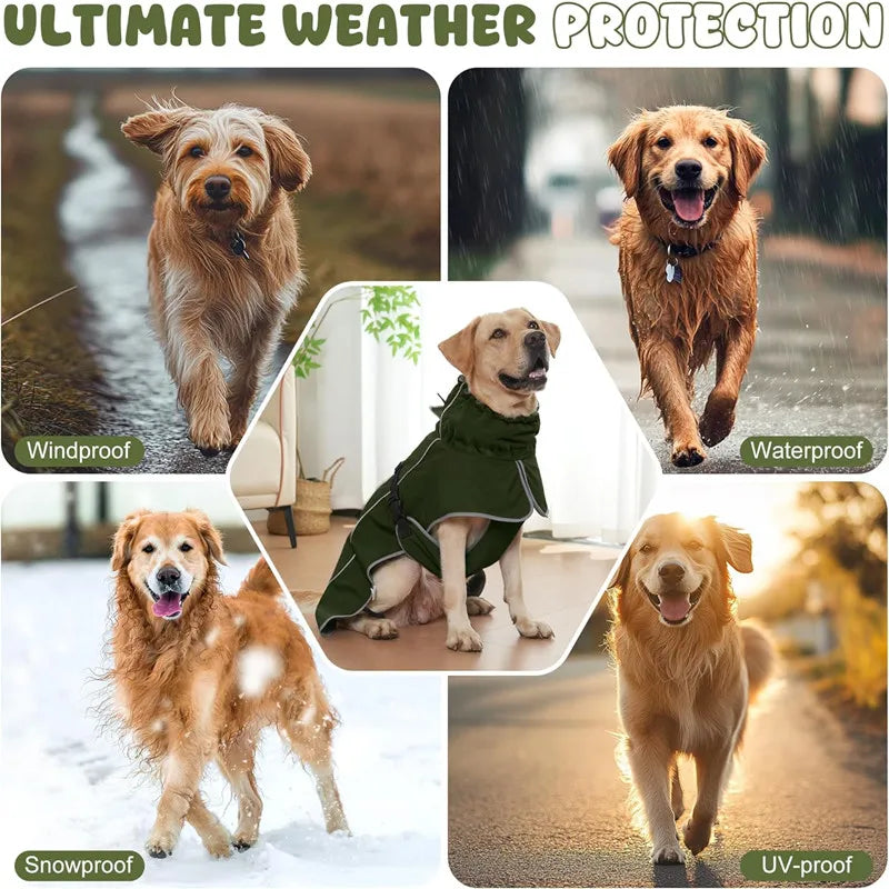Chubasquero Impermeable para Perros con Tira Reflectante