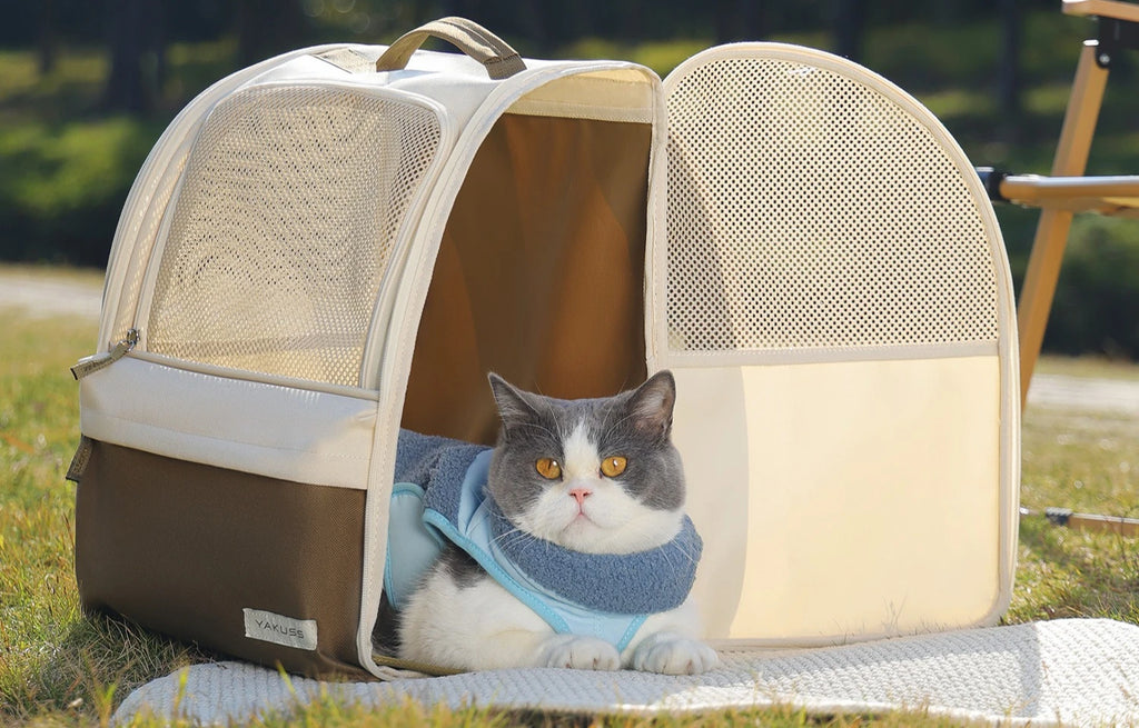 Large Carrier Backpack for Cats and Dogs