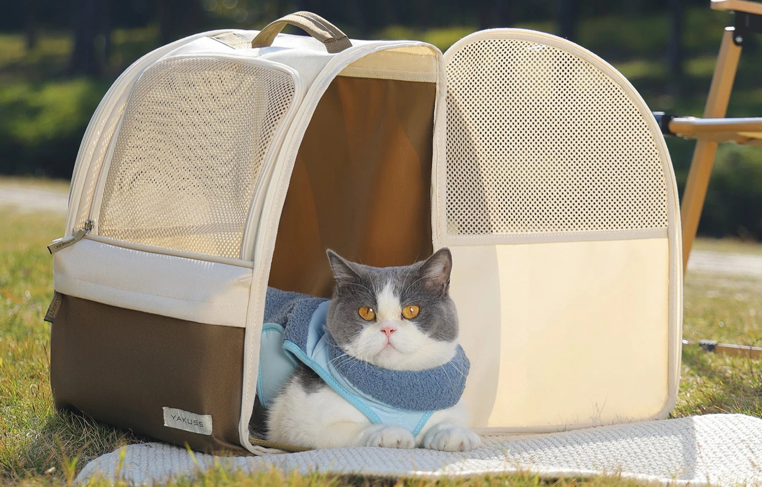 Large Carrier Backpack for Cats and Dogs